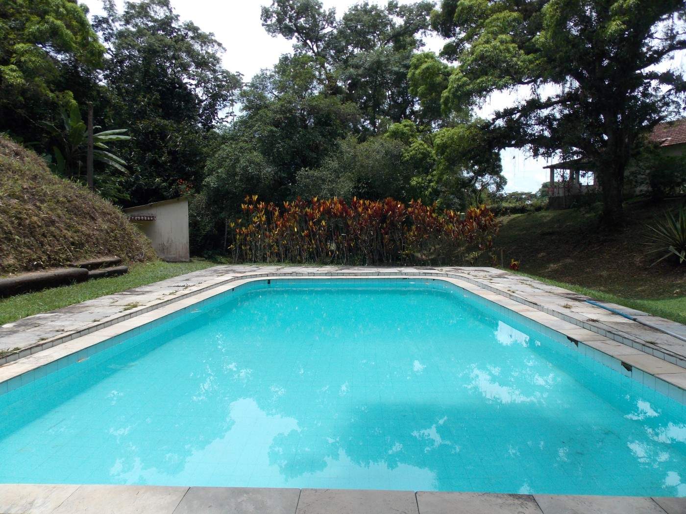 Sítio, 3 quartos, 4 hectares - Foto 3