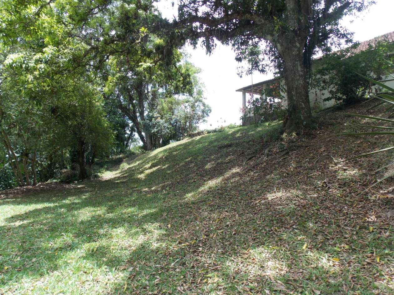 Sítio, 3 quartos, 4 hectares - Foto 7