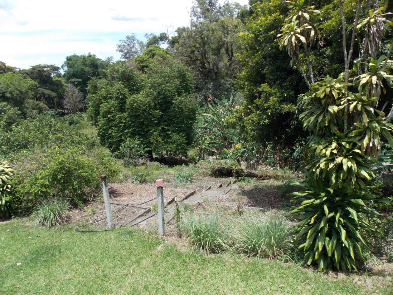 Sítio, 3 quartos, 4 hectares - Foto 16