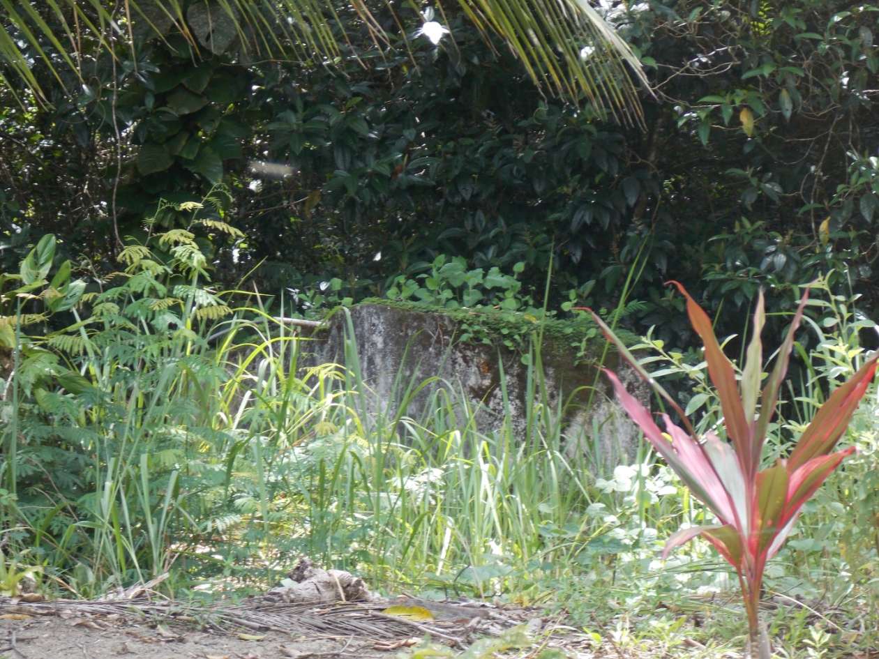 Sítio, 3 quartos, 4 hectares - Foto 18