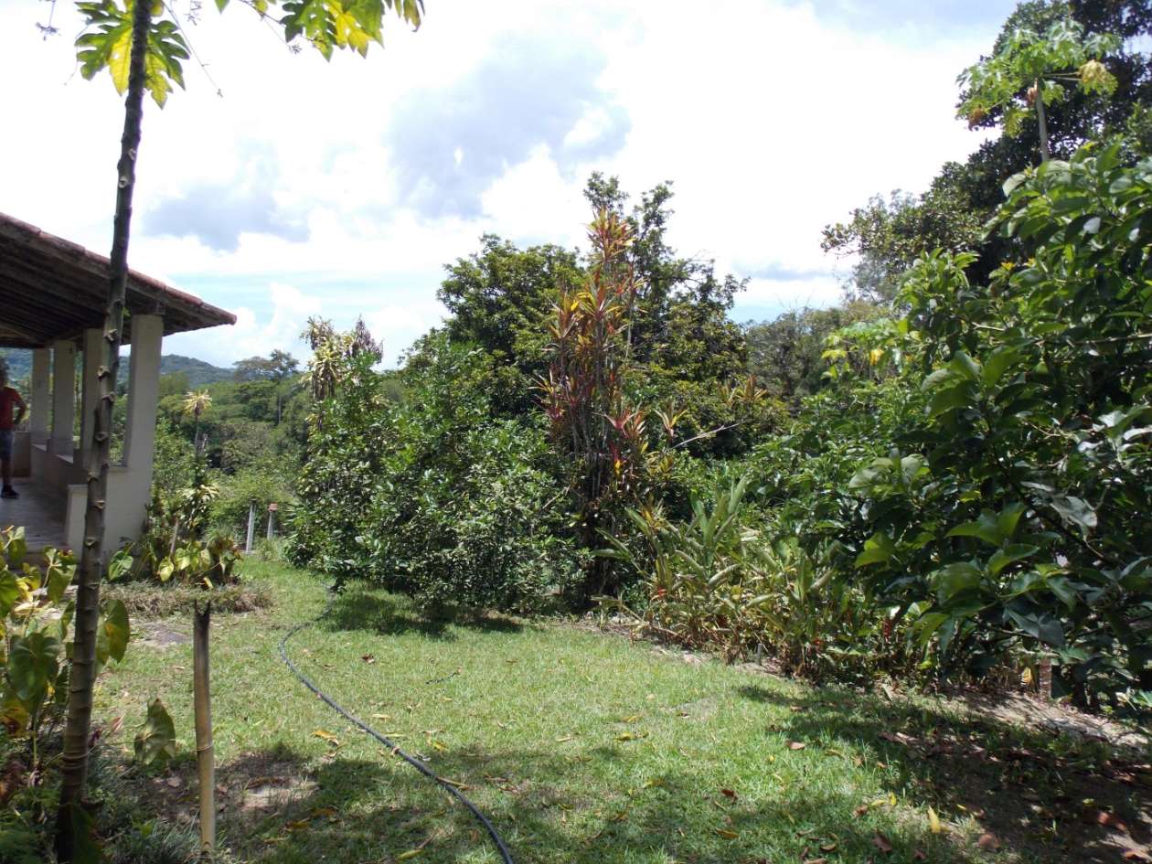 Sítio, 3 quartos, 4 hectares - Foto 19