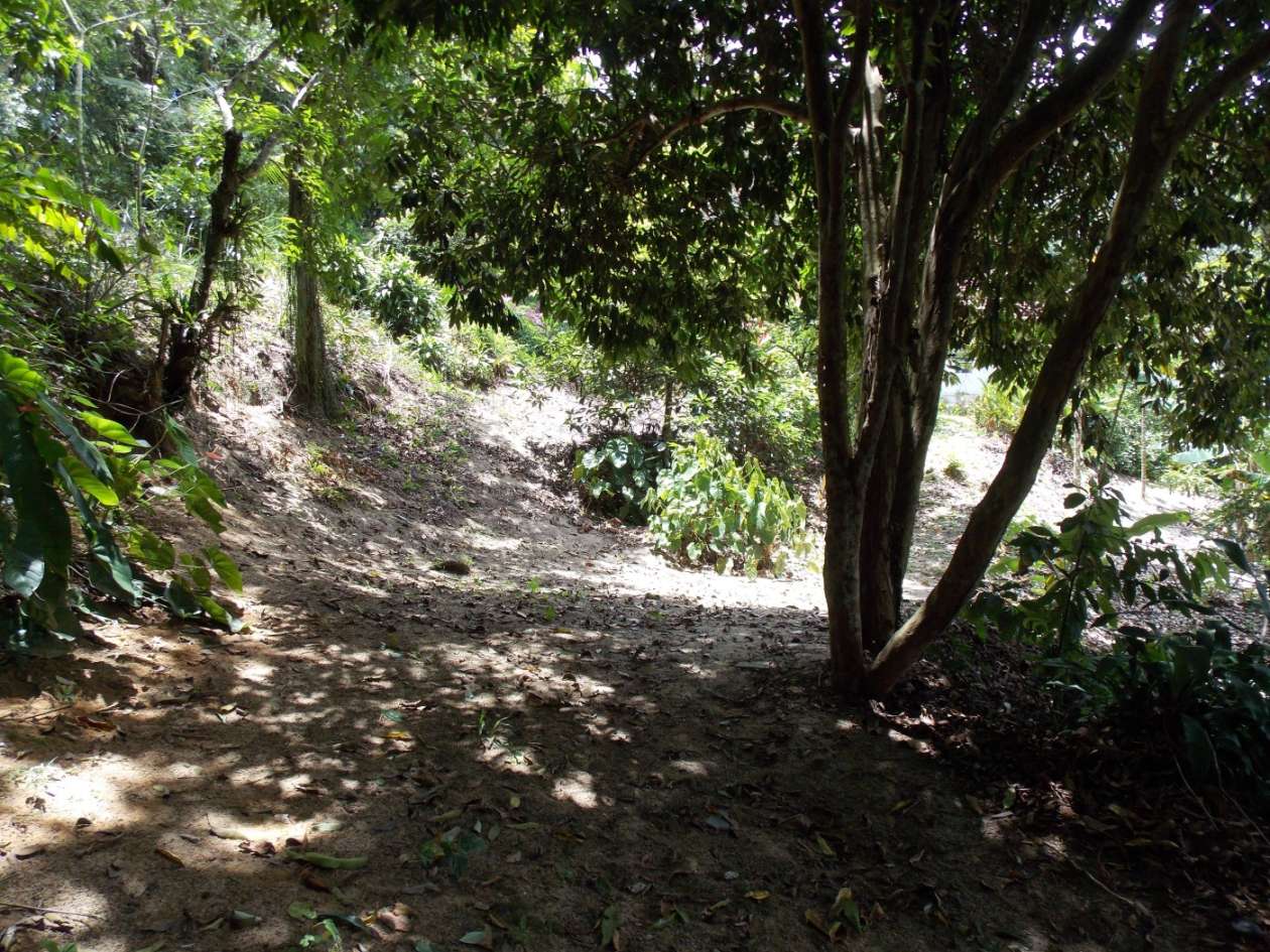 Sítio, 3 quartos, 4 hectares - Foto 21