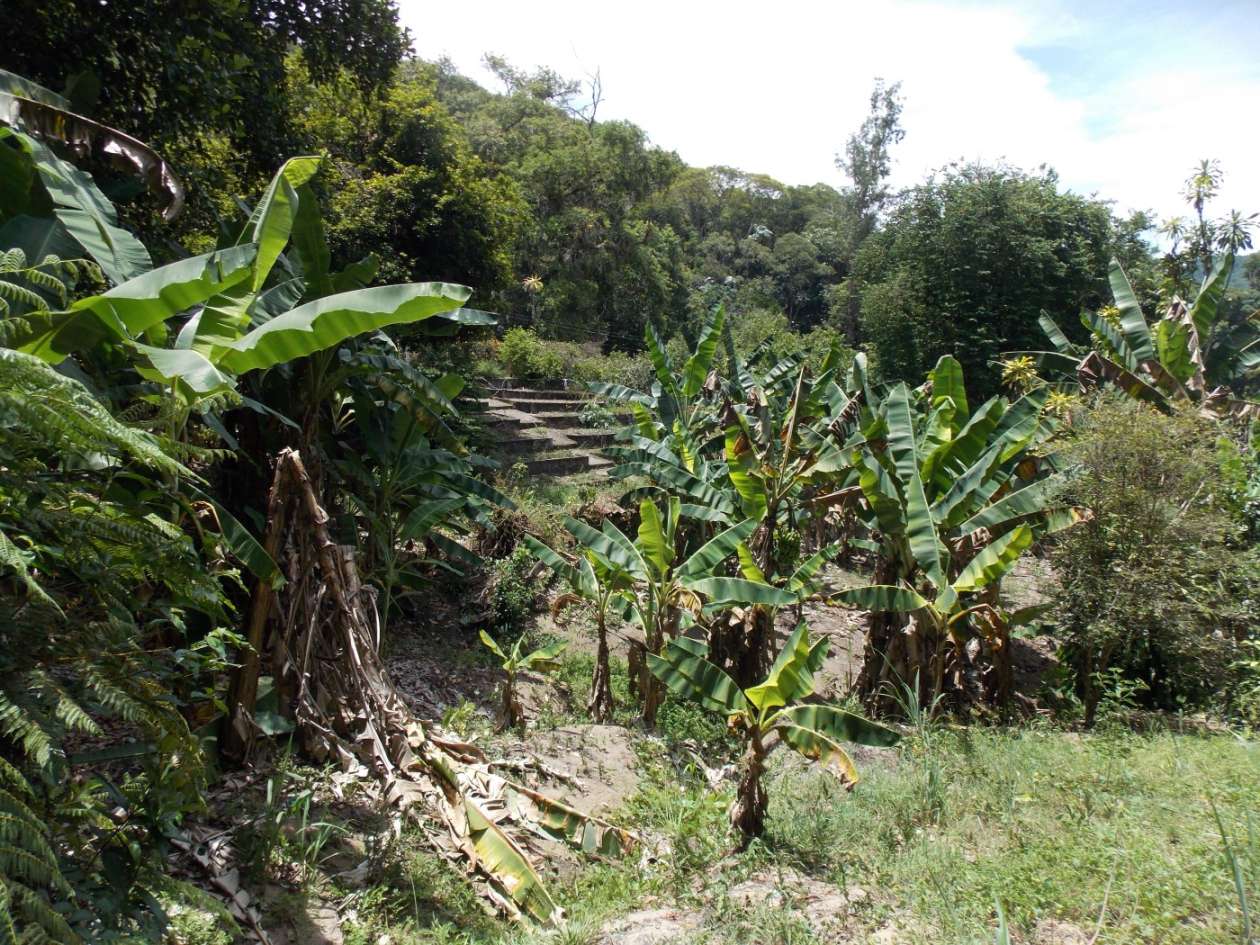 Sítio, 3 quartos, 4 hectares - Foto 23