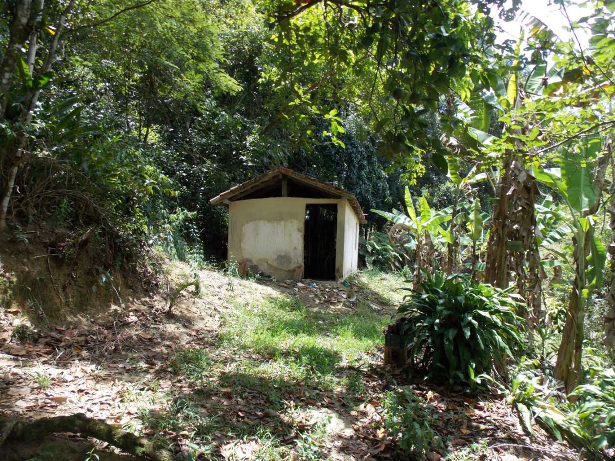 Sítio, 3 quartos, 4 hectares - Foto 24