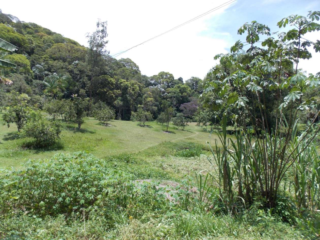 Sítio, 3 quartos, 4 hectares - Foto 27