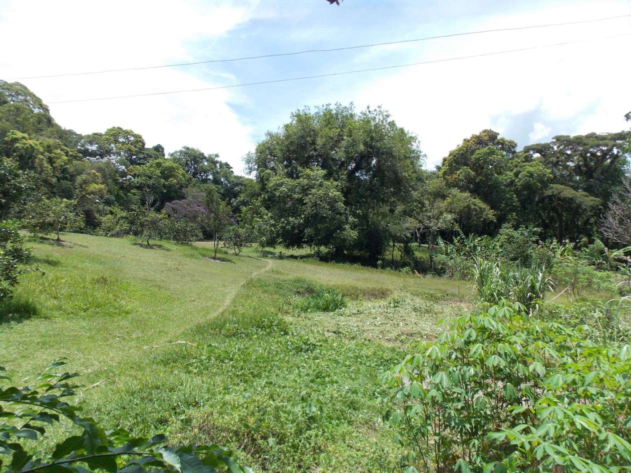 Sítio, 3 quartos, 4 hectares - Foto 28