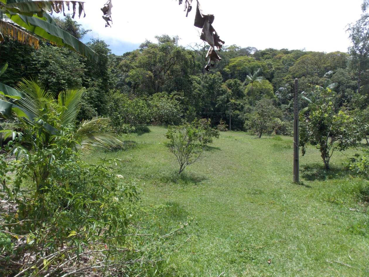 Sítio, 3 quartos, 4 hectares - Foto 29