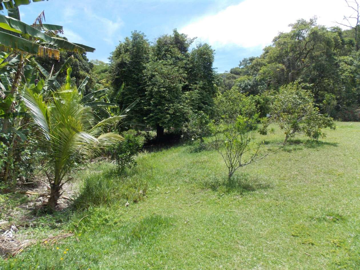 Sítio, 3 quartos, 4 hectares - Foto 30