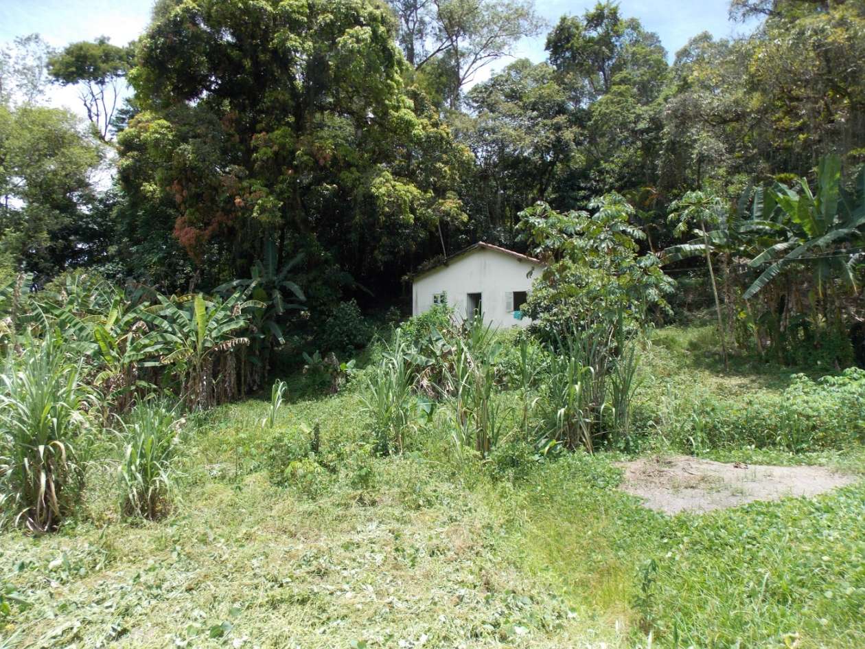 Sítio, 3 quartos, 4 hectares - Foto 31