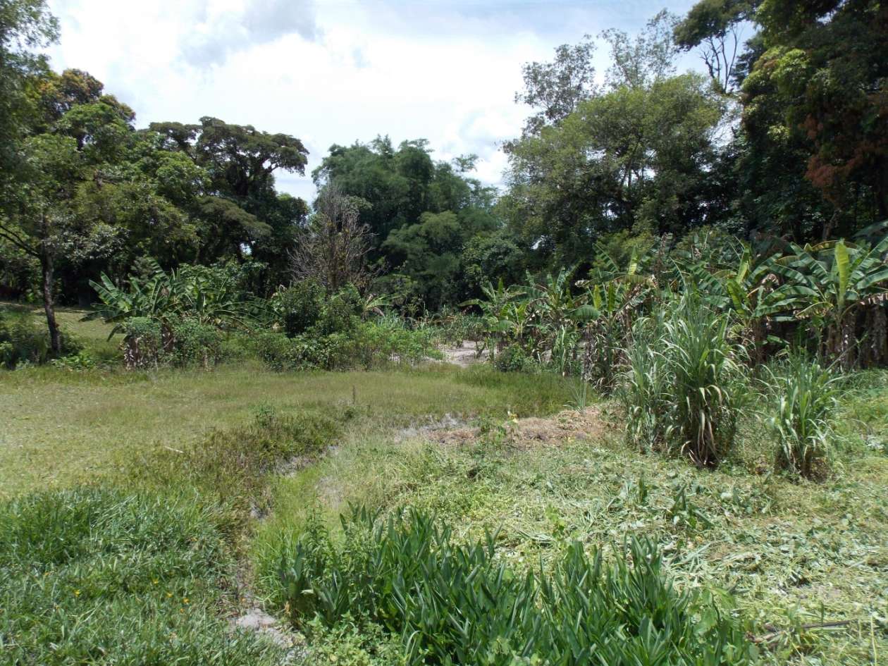 Sítio, 3 quartos, 4 hectares - Foto 32