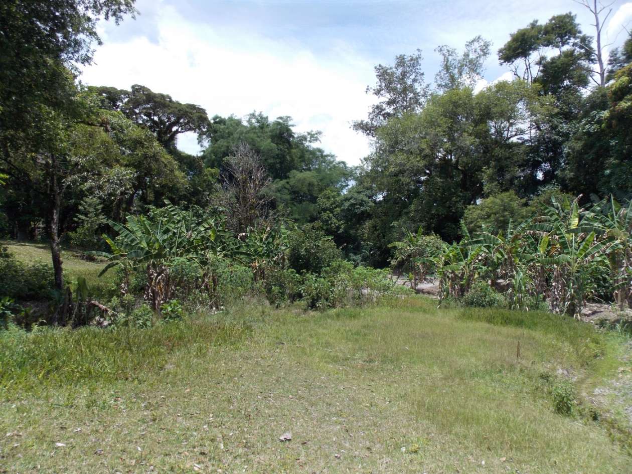 Sítio, 3 quartos, 4 hectares - Foto 33