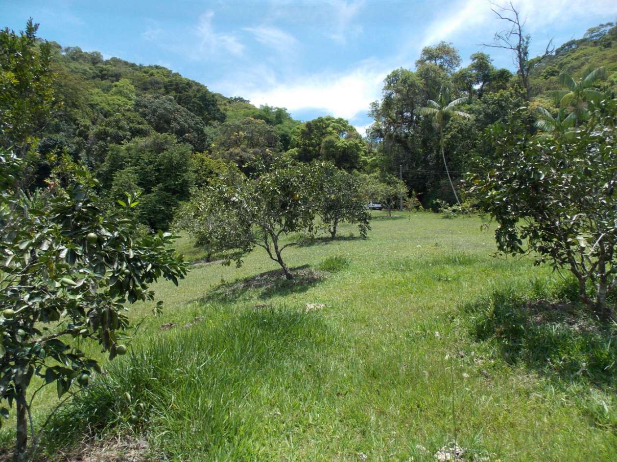 Sítio, 3 quartos, 4 hectares - Foto 34