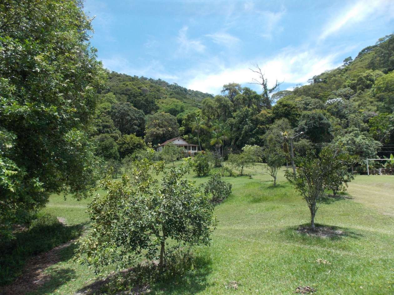 Sítio, 3 quartos, 4 hectares - Foto 36