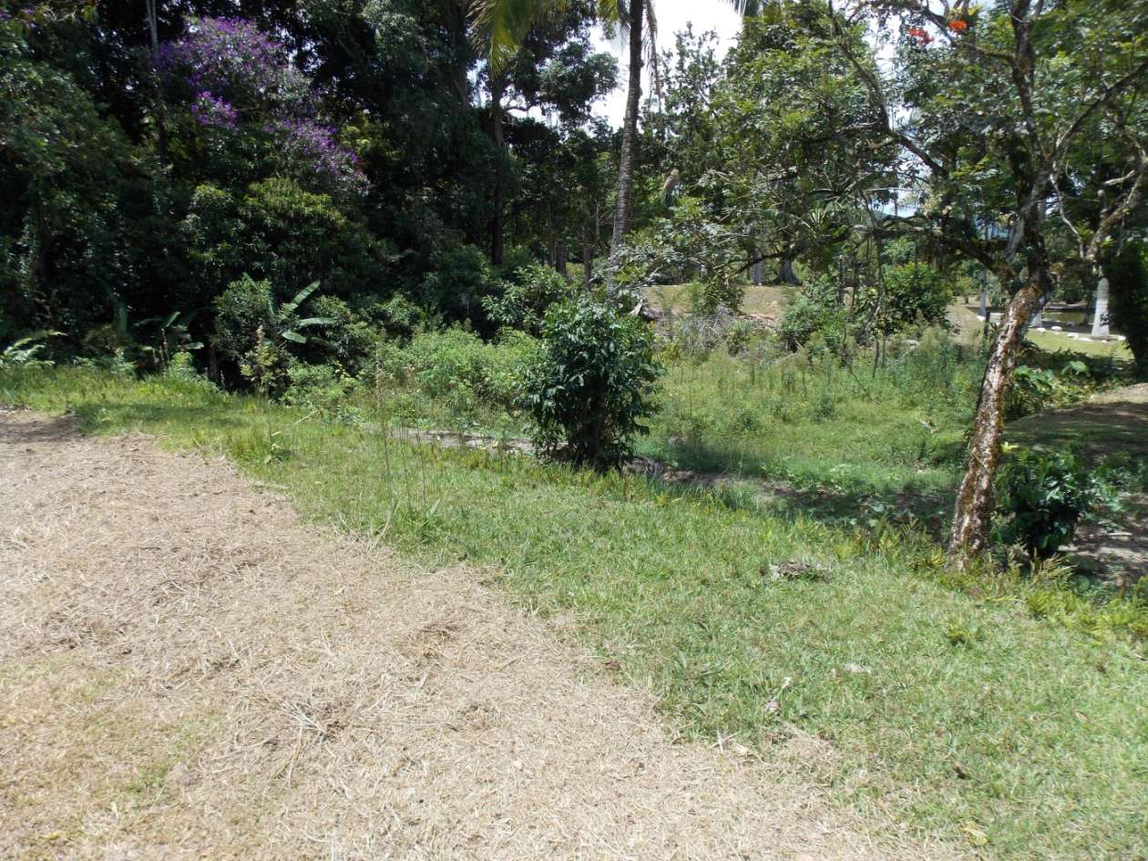 Sítio, 3 quartos, 4 hectares - Foto 39