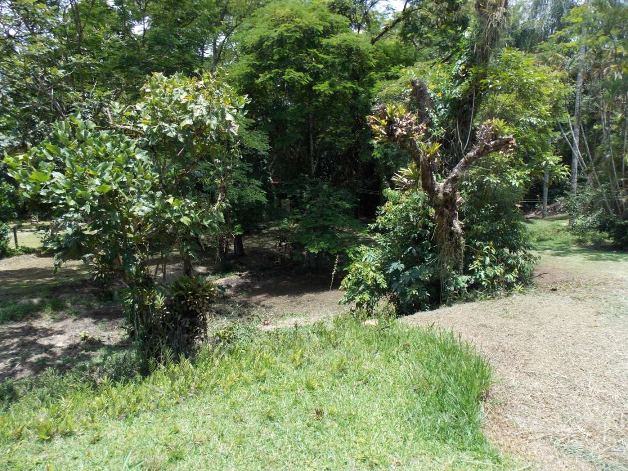 Sítio, 3 quartos, 4 hectares - Foto 40