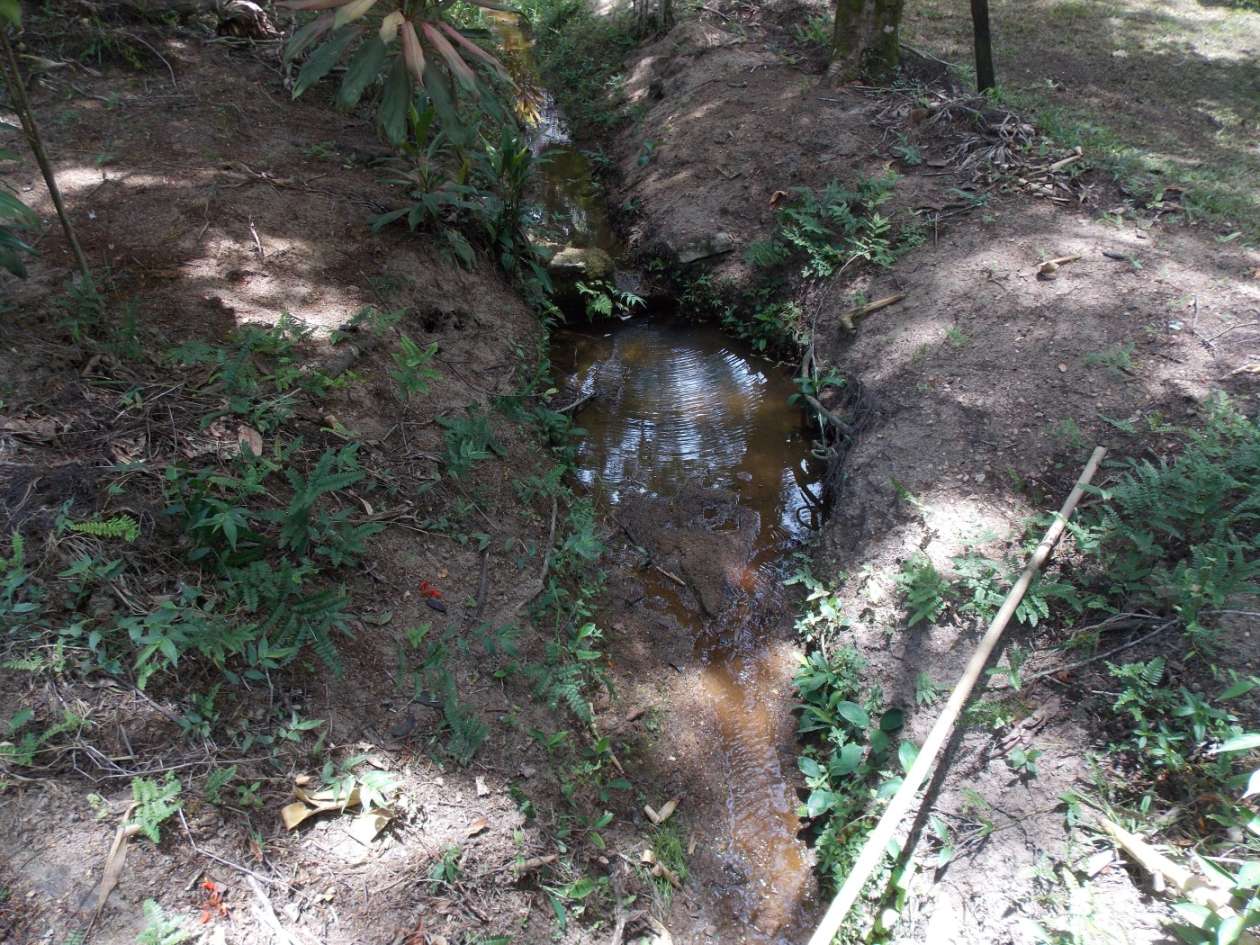 Sítio, 3 quartos, 4 hectares - Foto 42