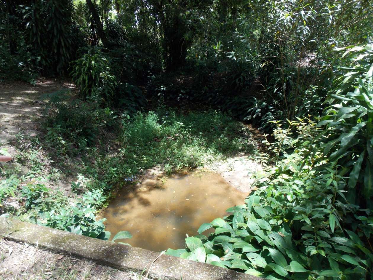 Sítio, 3 quartos, 4 hectares - Foto 43