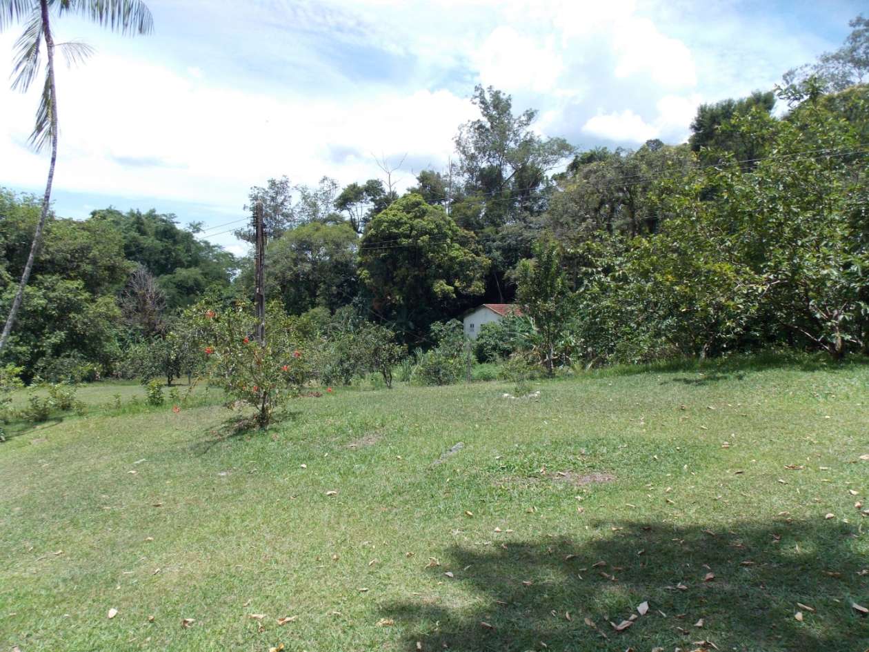 Sítio, 3 quartos, 4 hectares - Foto 47