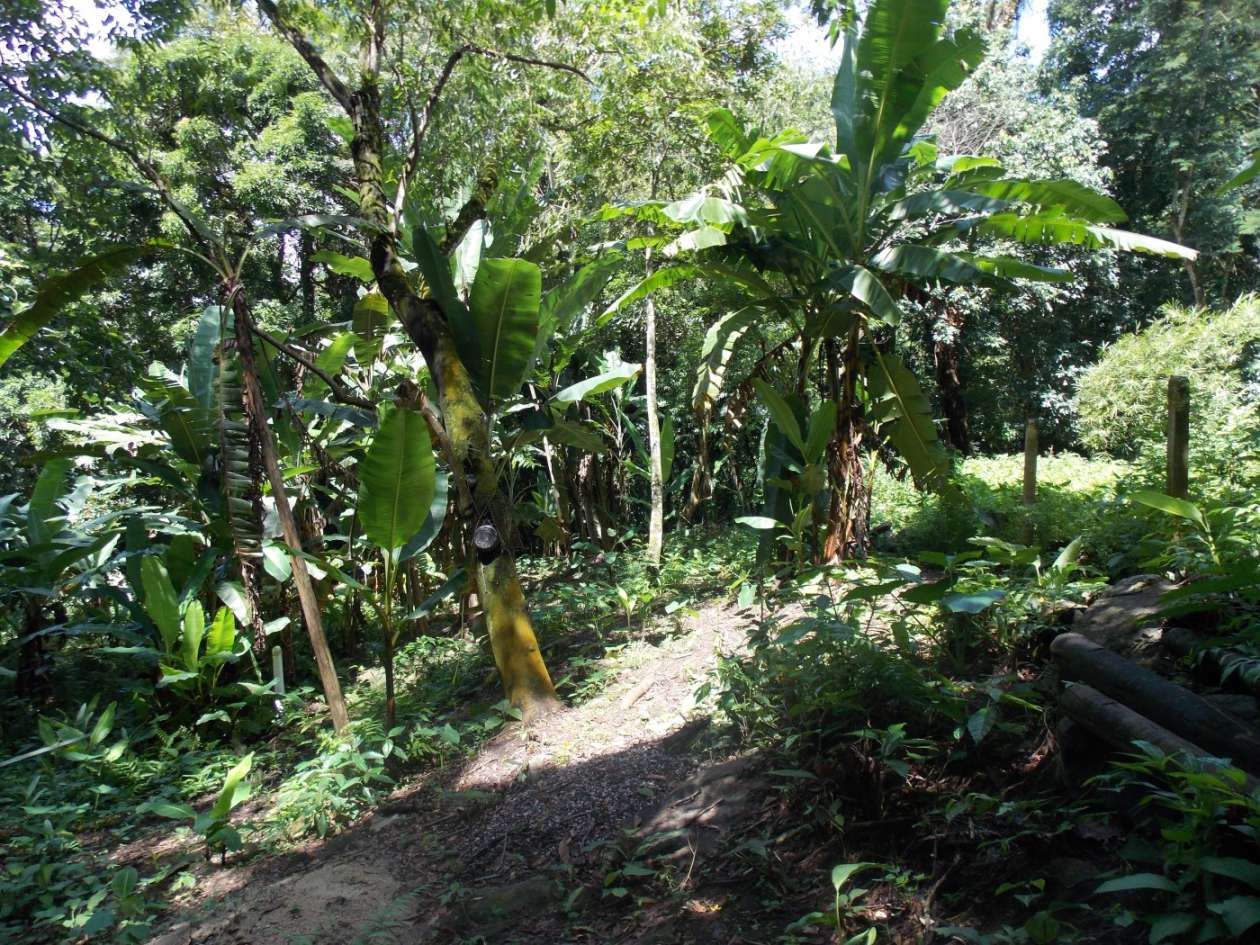 Terreno, 350 m² - Foto 1