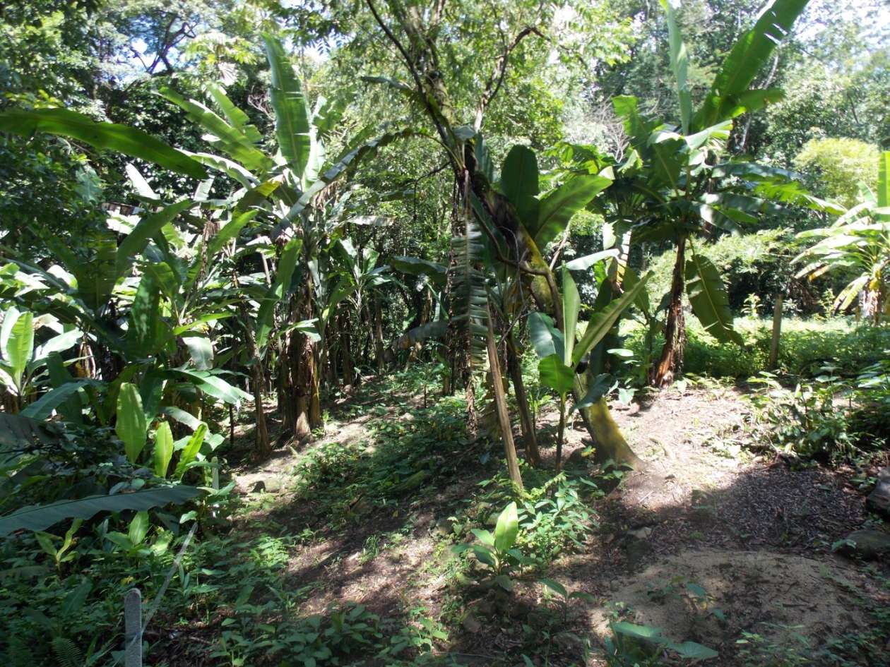 Terreno, 350 m² - Foto 4