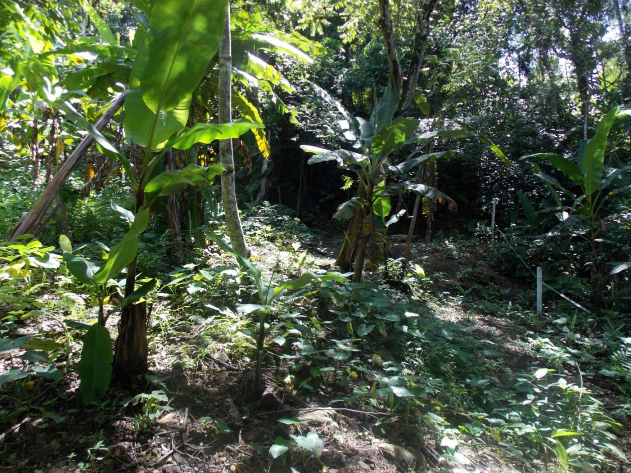 Terreno, 350 m² - Foto 6