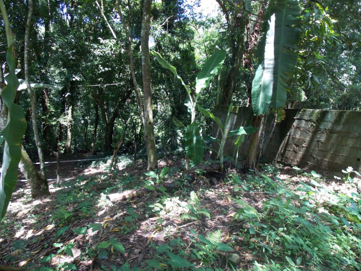 Terreno, 350 m² - Foto 3