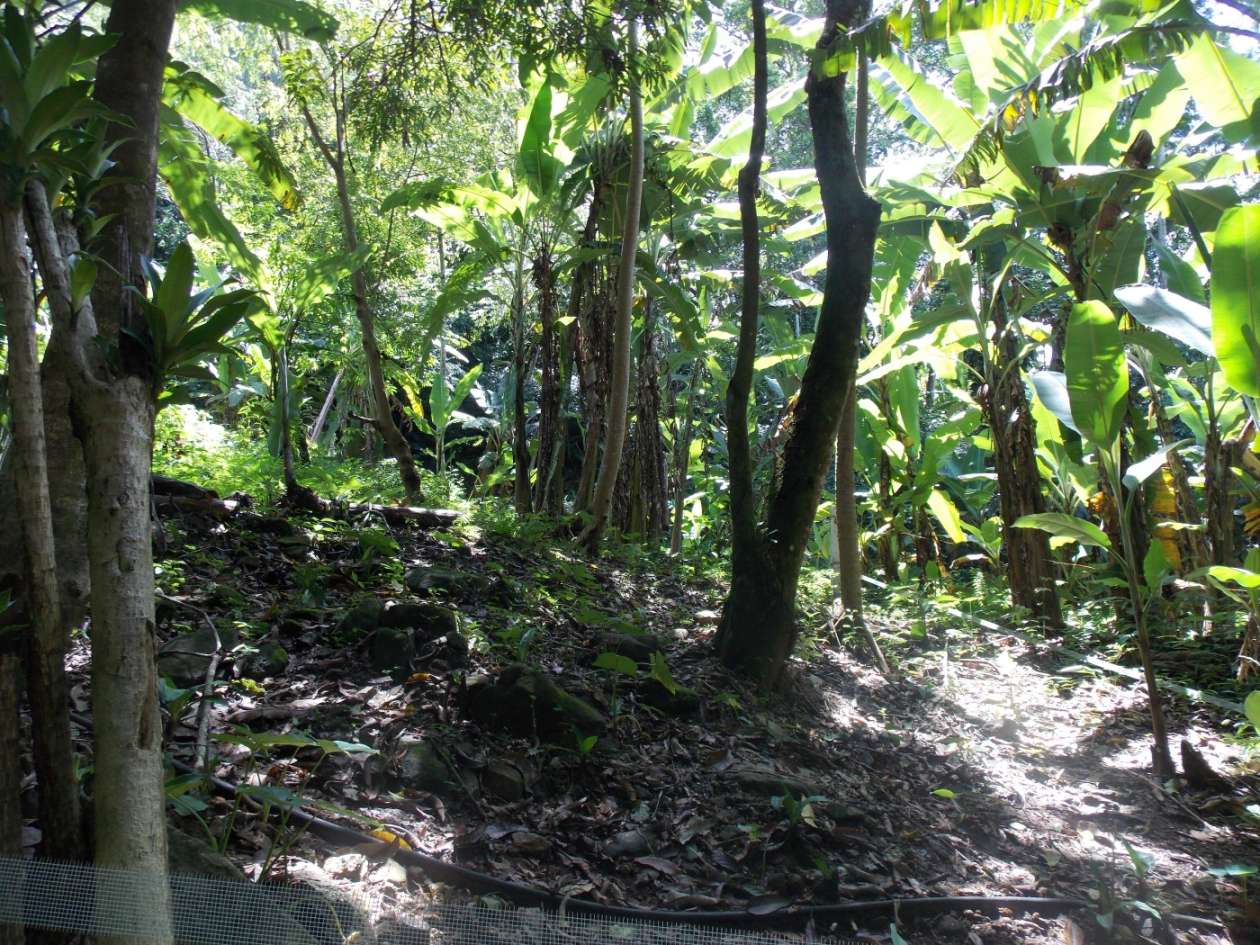 Terreno, 350 m² - Foto 7