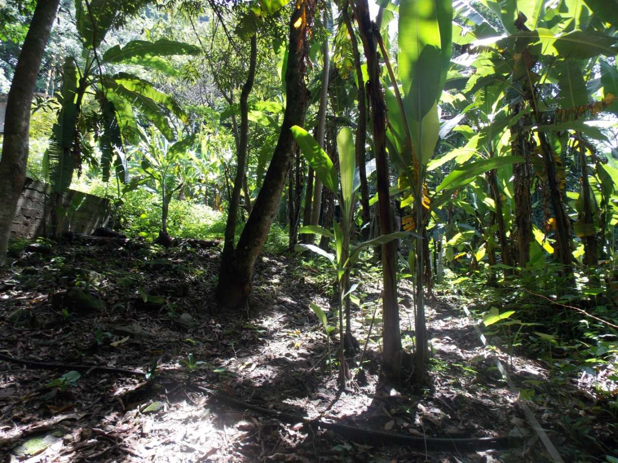 Terreno, 350 m² - Foto 8