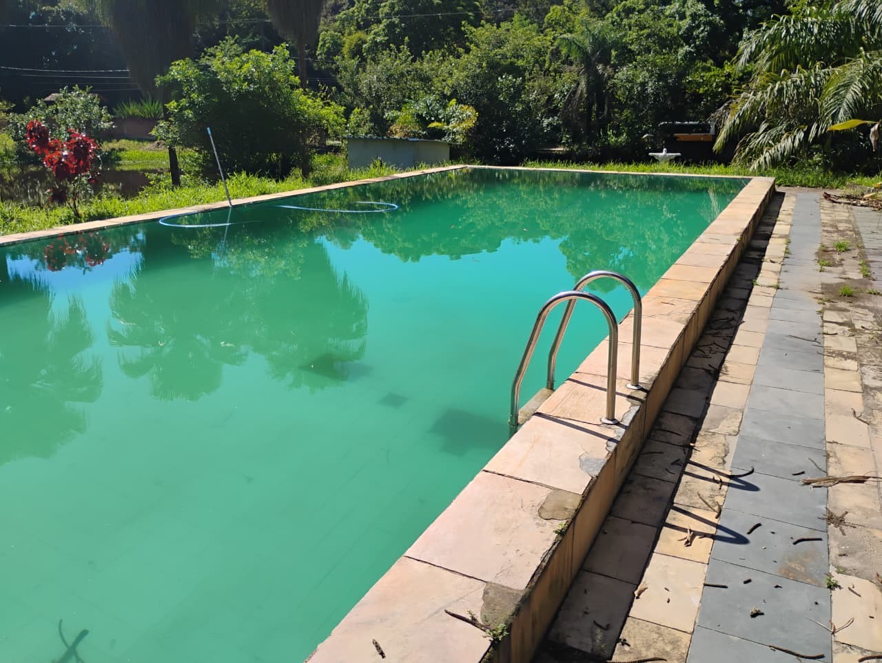Fazenda, 1 hectares - Foto 3