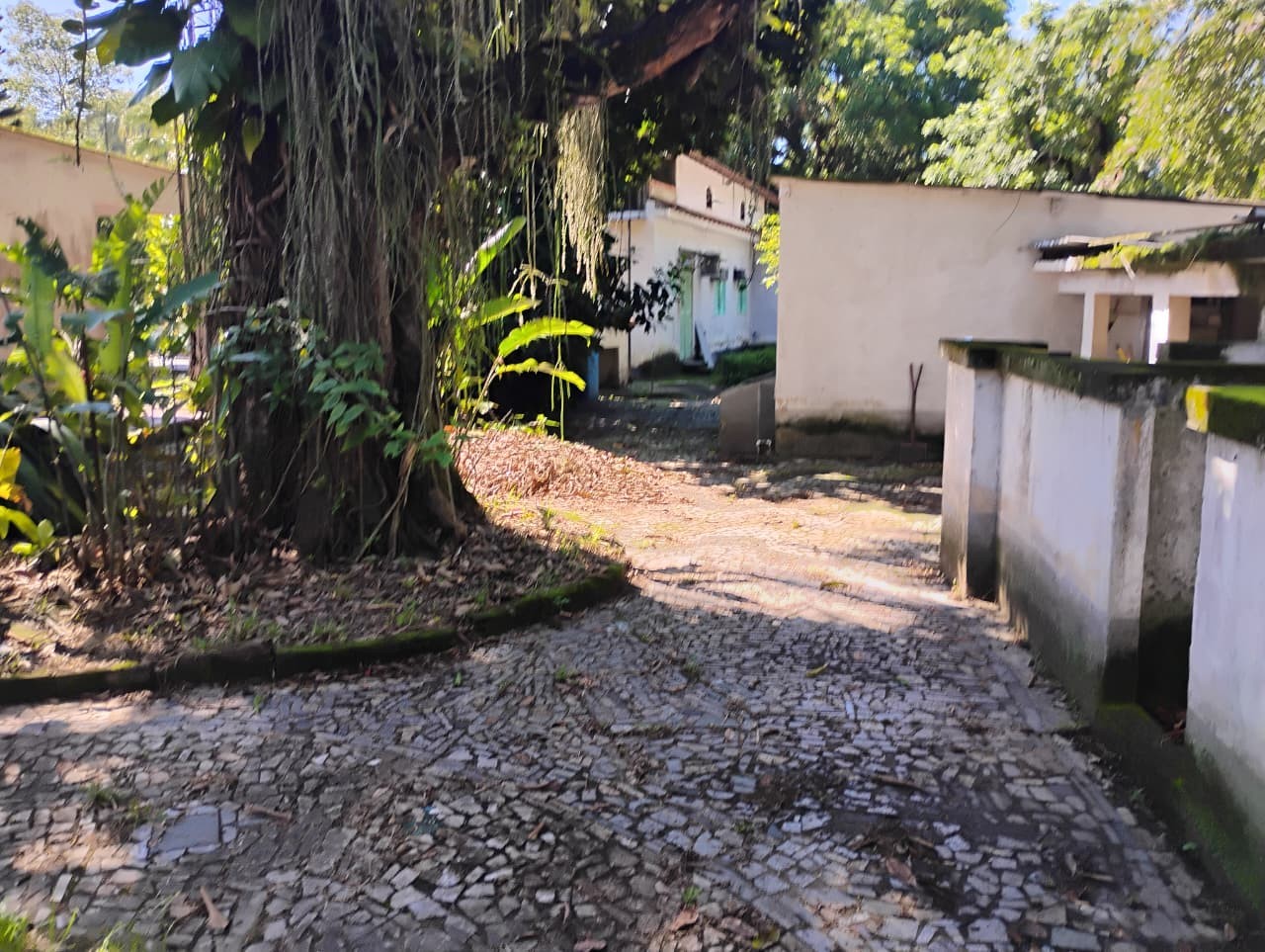 Fazenda, 1 hectares - Foto 5