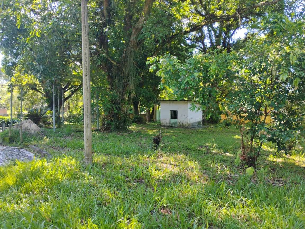 Fazenda, 1 hectares - Foto 37