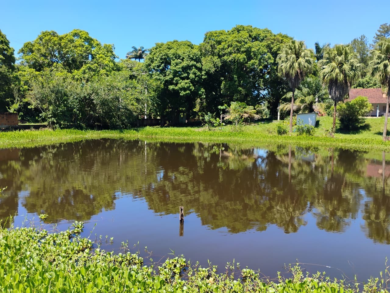 Fazenda, 1 hectares - Foto 43