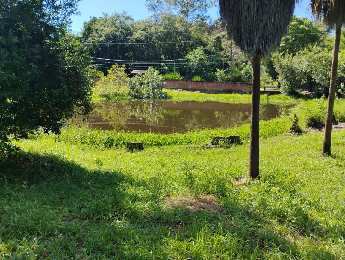 Fazenda, 1 hectares - Foto 45