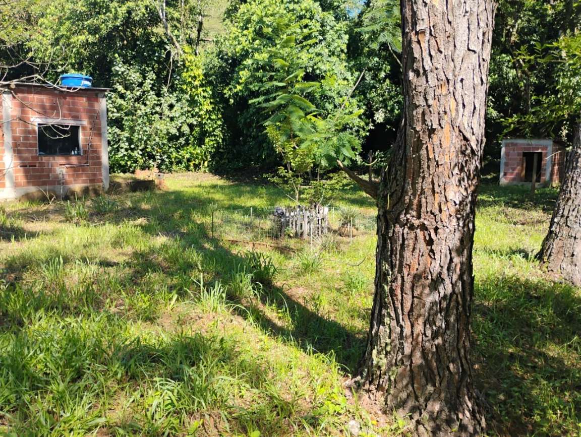 Fazenda, 1 hectares - Foto 47