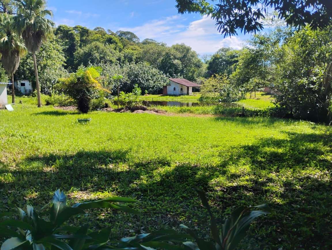 Fazenda, 1 hectares - Foto 49
