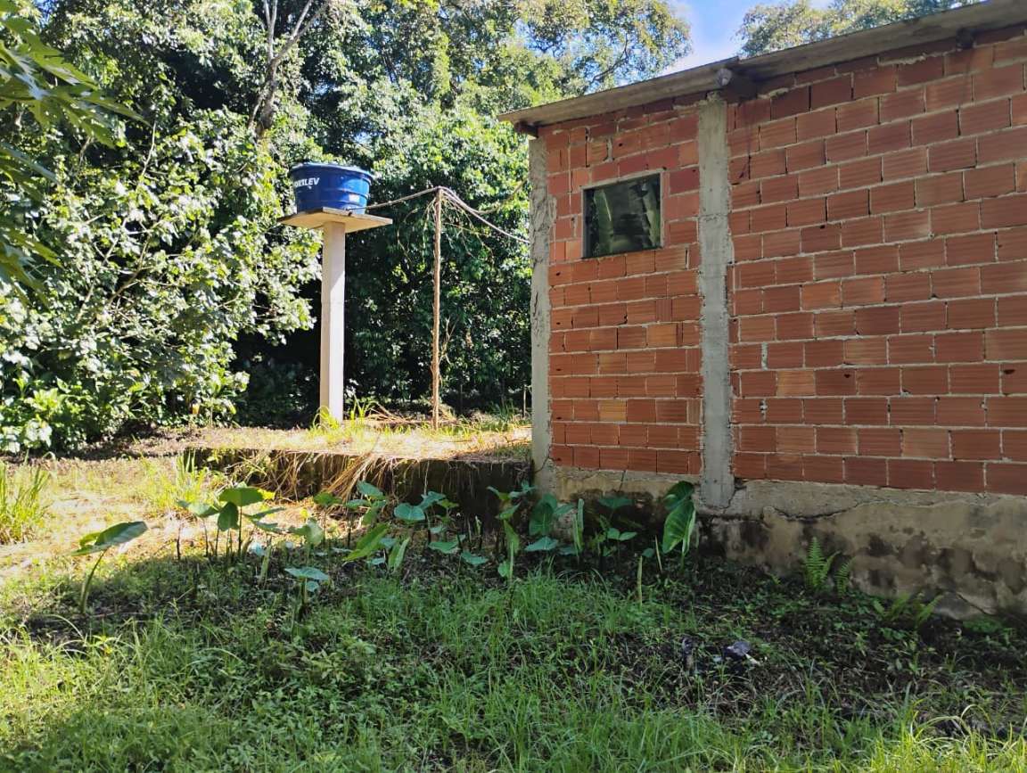 Fazenda, 1 hectares - Foto 4
