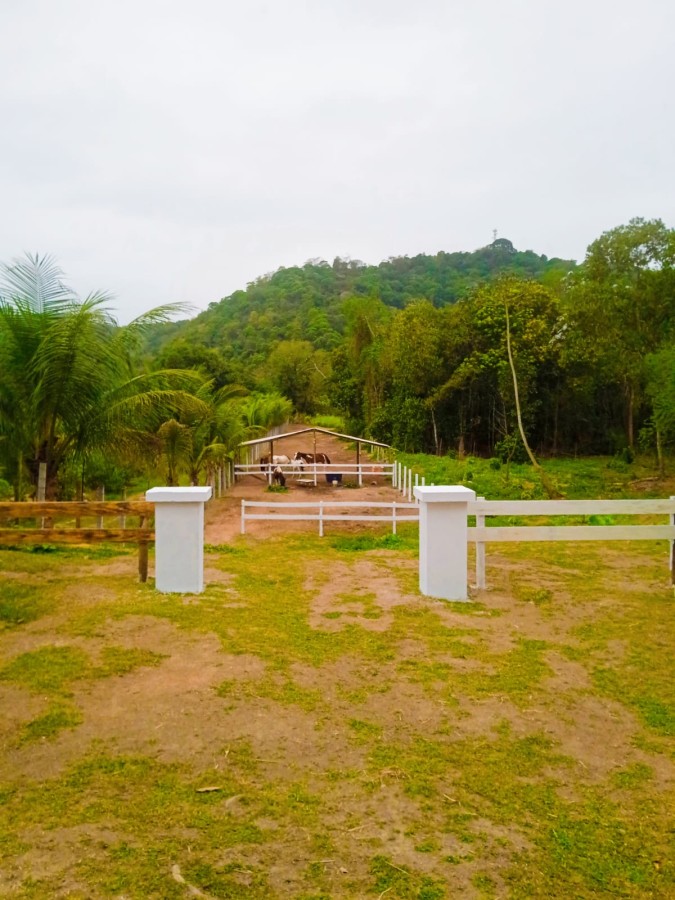Prédio Inteiro - Foto 11