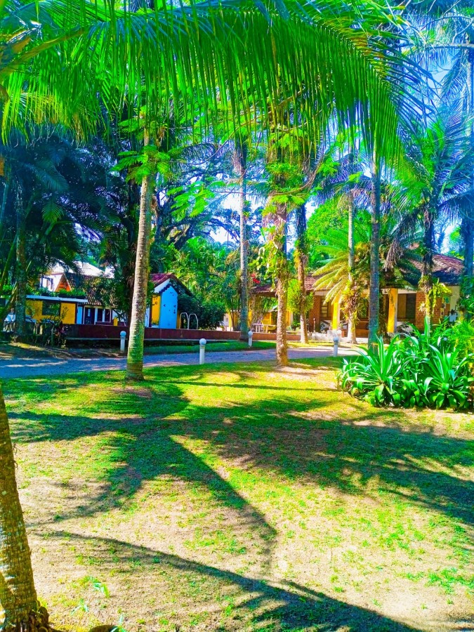 Prédio Inteiro - Foto 27