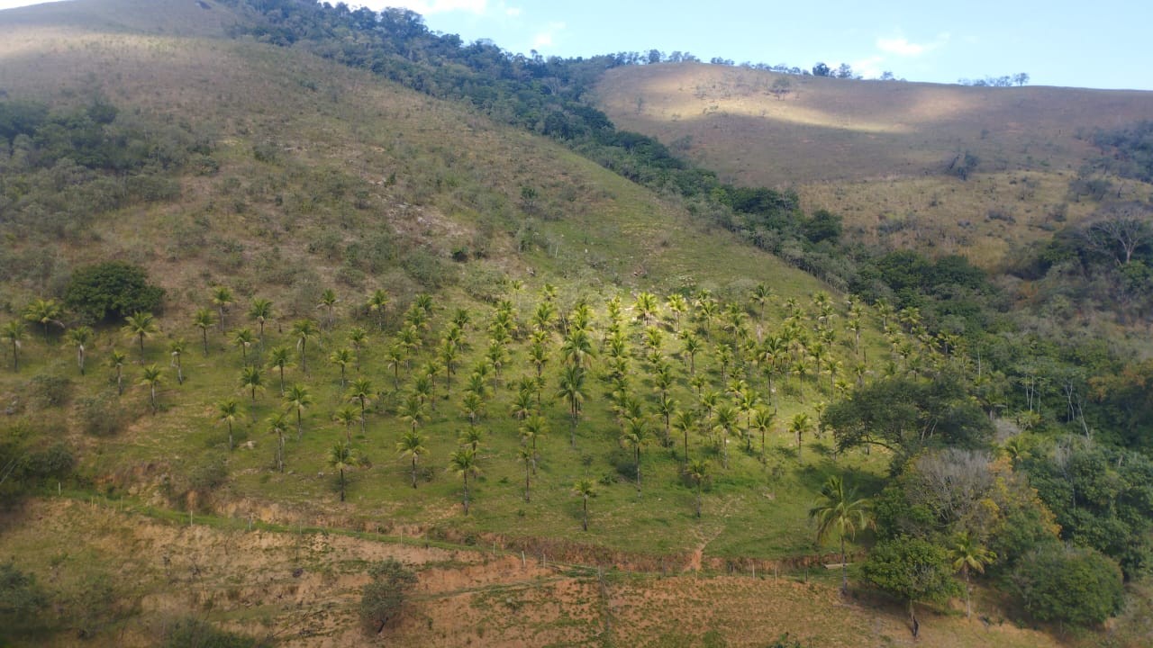 Terreno, 6 m² - Foto 1