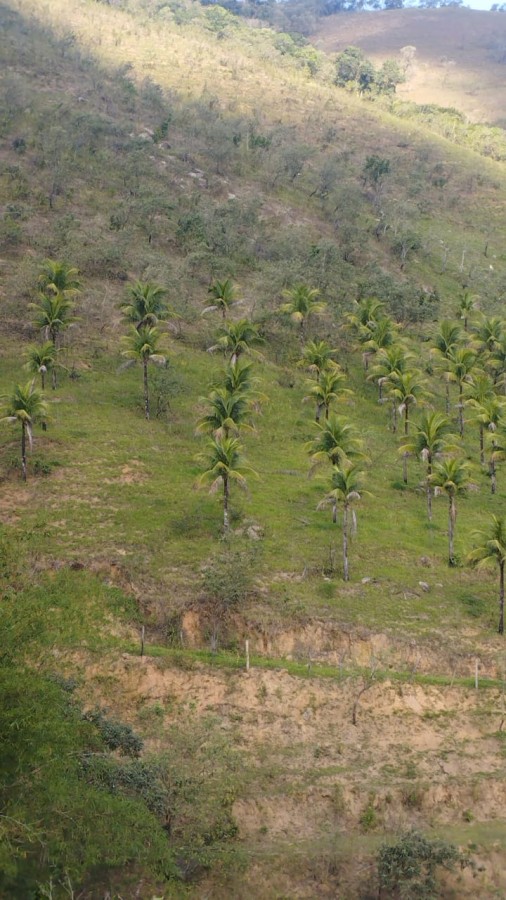 Terreno, 6 m² - Foto 3