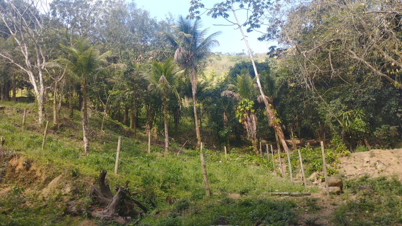 Terreno, 6 m² - Foto 5