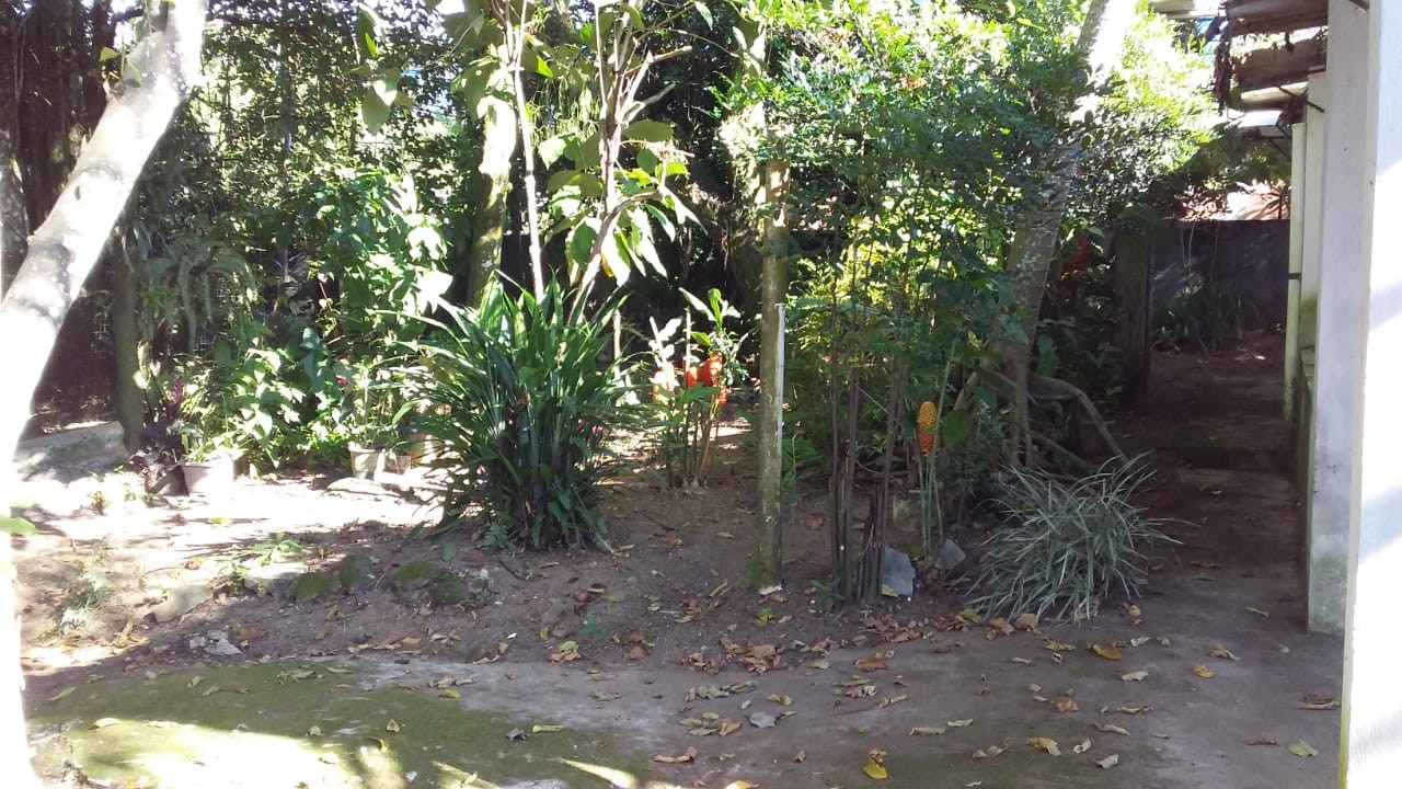 Casa - Foto 3